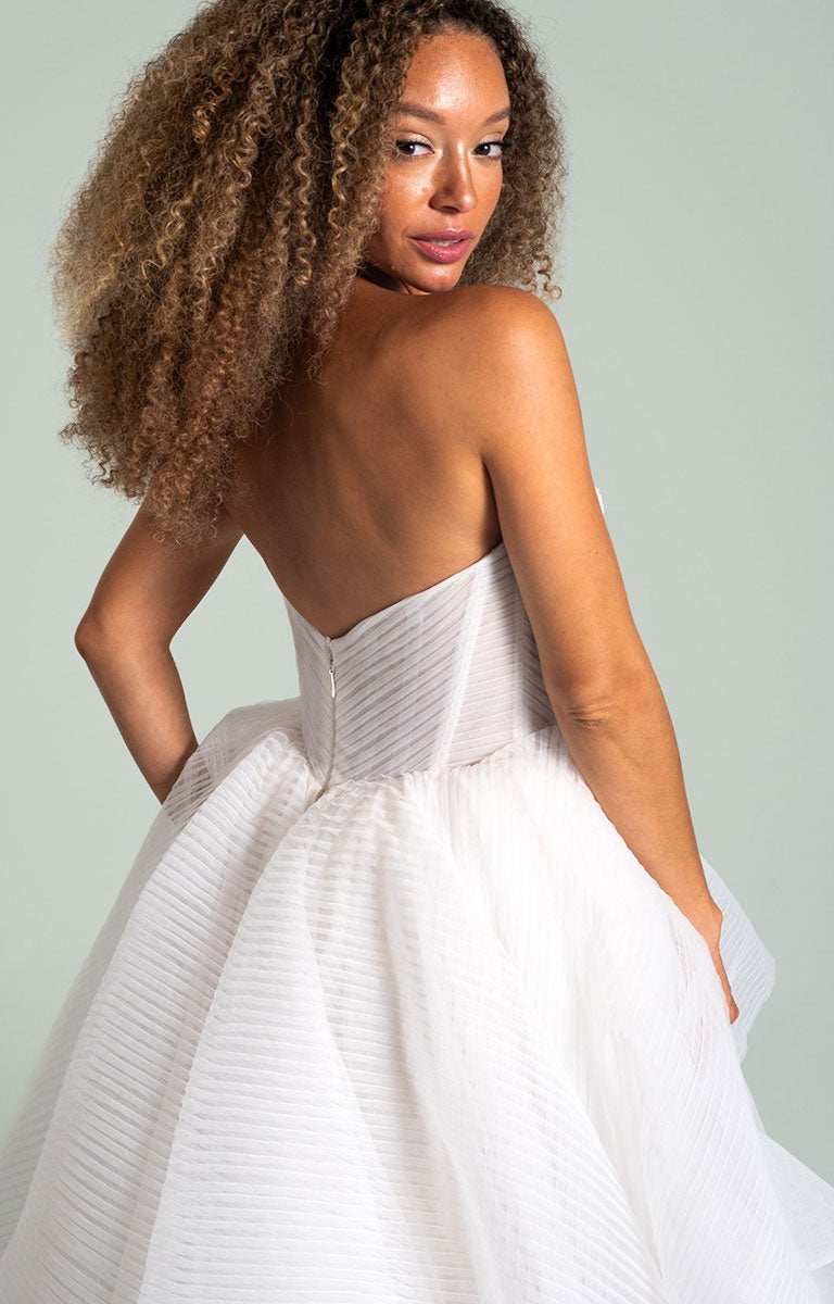 Woman wearing Once I Was a Swan by Hayley Paige - Layered Tulle Ballgown Wedding Dress with Corset Bodice with a plain background