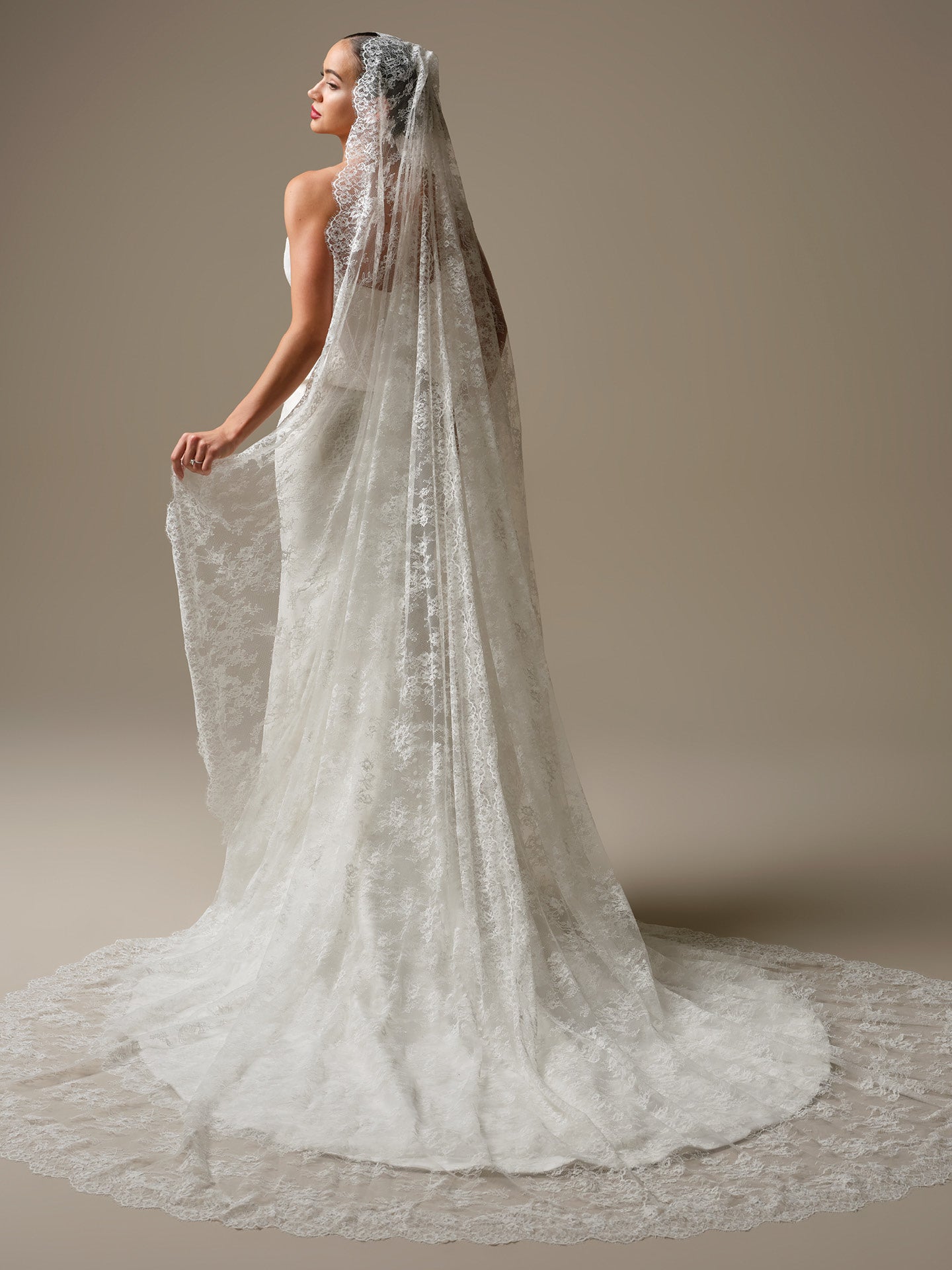 Lassen by Sottero and Midgley - Strapless Chantilly Lace Sheath Wedding Dress with Cat-Eye Neckline and Corset Bodice with a long veil on a plain background